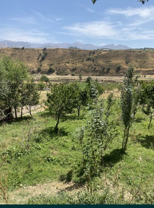 Tog' etagida yer uchastkasi sotiladi