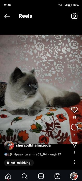 Вязка,Зот олиш,сотилмайди.