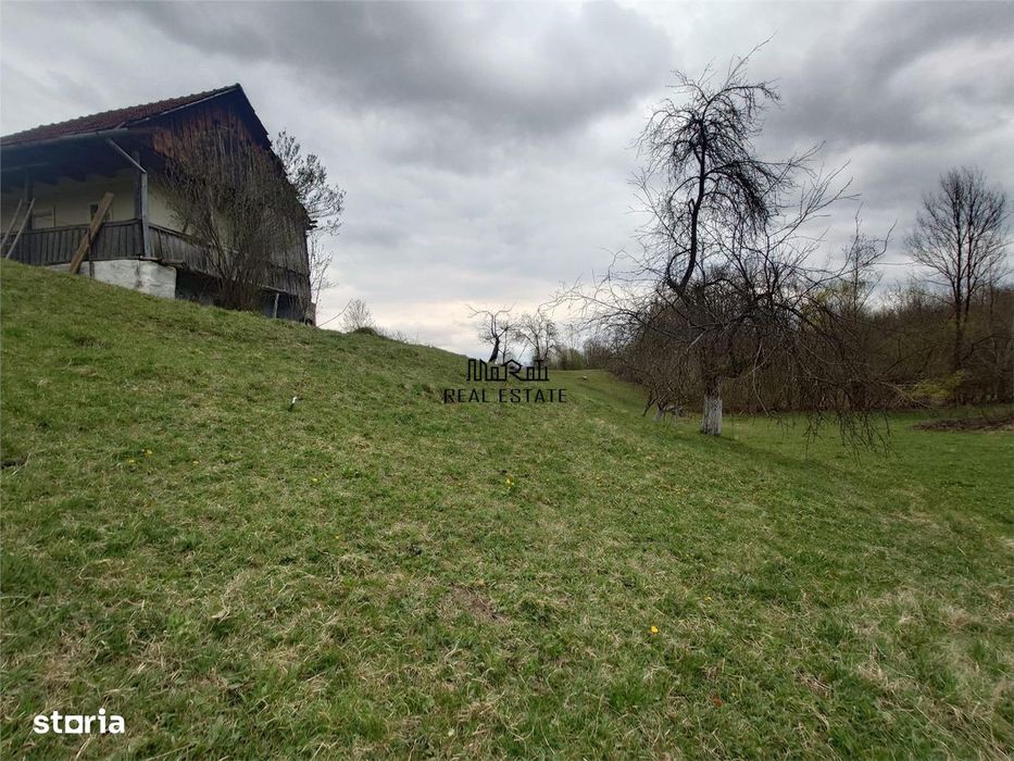 10 000 mp teren intravilan cu priveliste