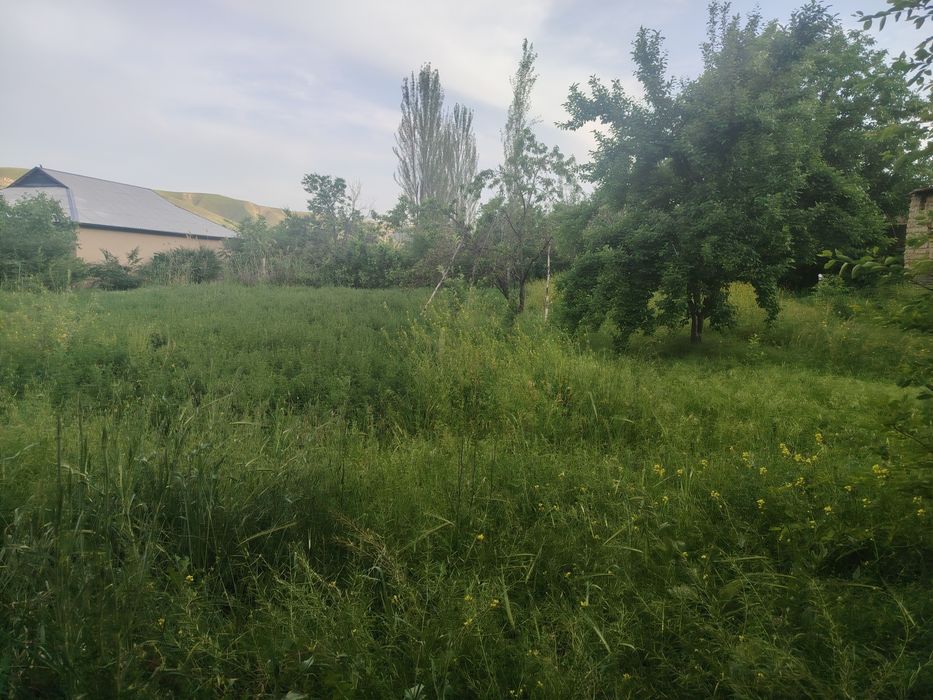 Dam olish maskani, Dacha va yashash uchun tabiat qo'ynidagi uchastka