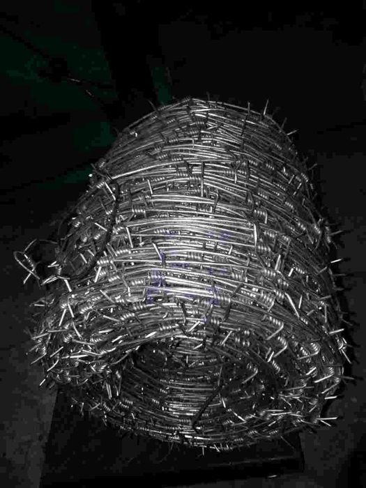 егоза, калючка . тикон сим, tikonli sim