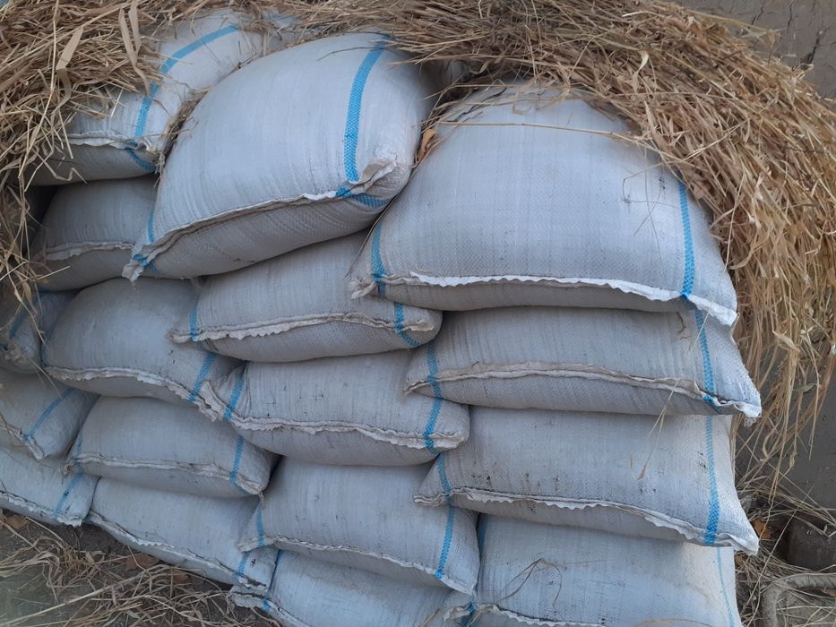 Биогумус тозза огородла учун