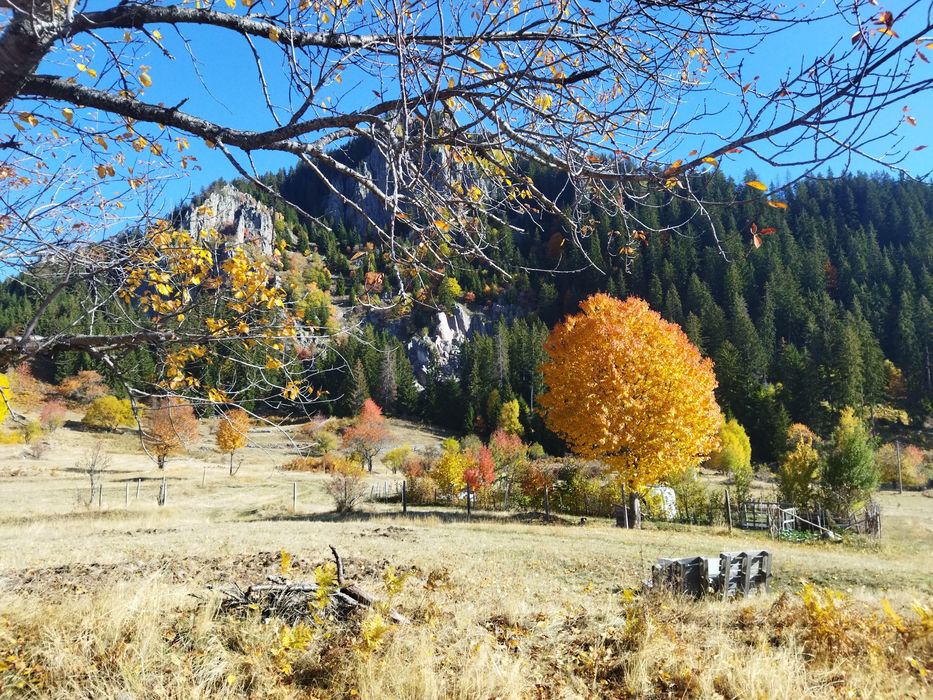 Продава се Парцел в Смолян, Езерово - 3136 кв.м за 35 €/кв.м - Снимка #3