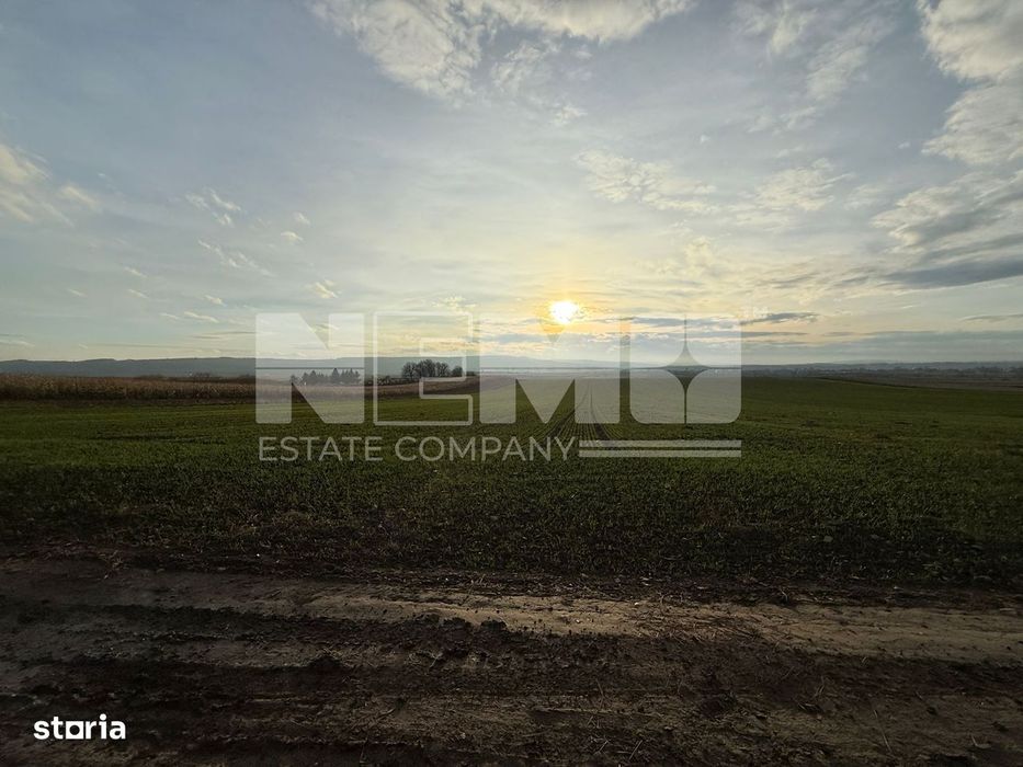 Teren Extravilan | E85 | 124.000 Euro