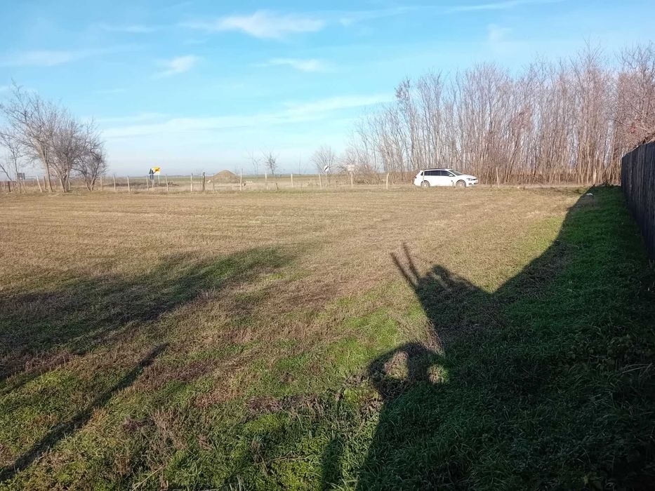 Teren intravilan în comuna Ileana-Călărași