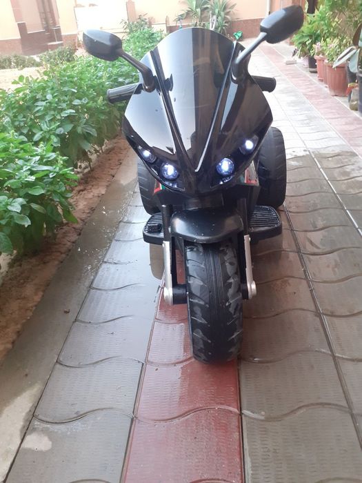 Dediski matasikil kam ucilgan holati idyal