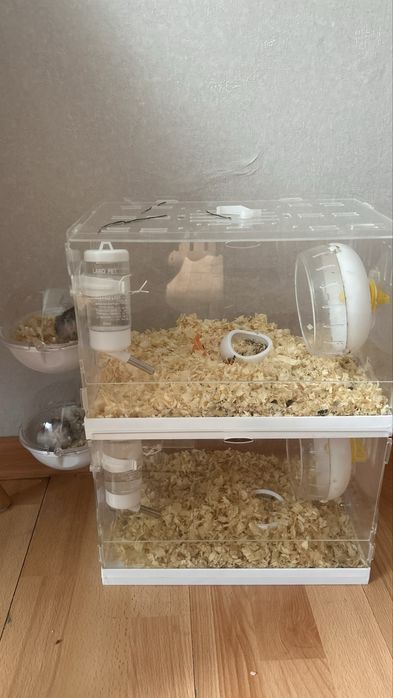 Джунгарики с клеткой