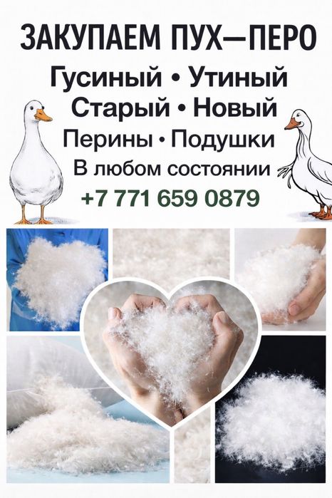 Принимаем пух-перо