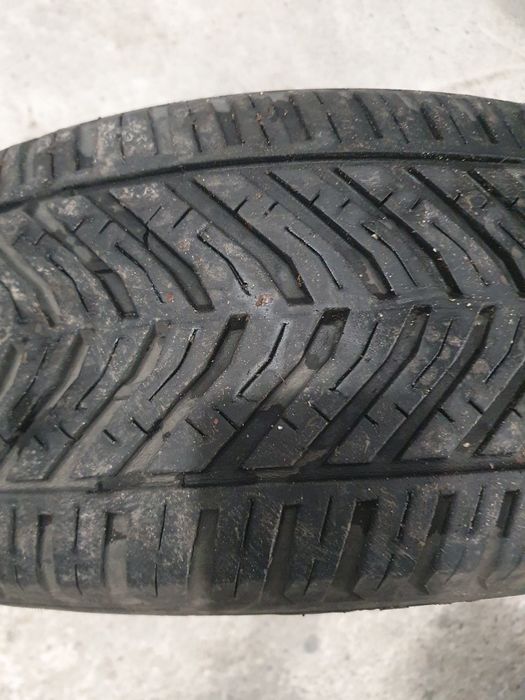 205/55/16 всесезонни гуми Tigar