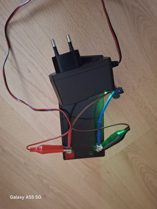 Barca plantat Delphin