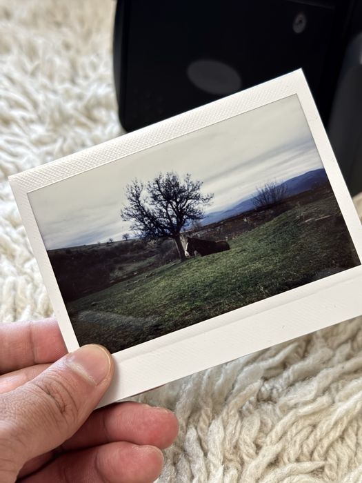 Fujifilm Instax 210