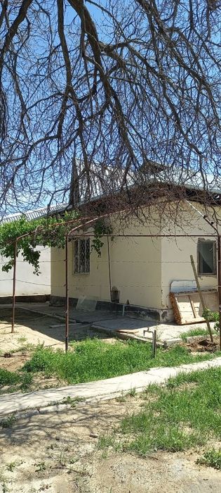 Oazisda  Dacha sotiladi yoki  almashtiramiza