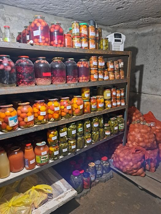 Домашние соленья