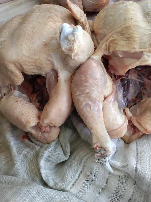 Мясо бролейров продажа