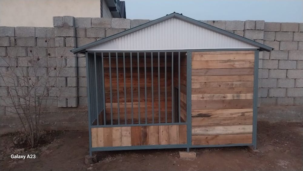 Үйдегі итіңізге ұя