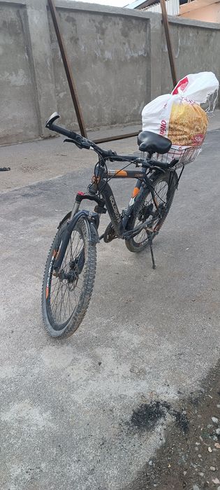 Velik sotiladi kitob tumanida