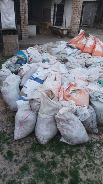 Gong qoy i yunusobodda