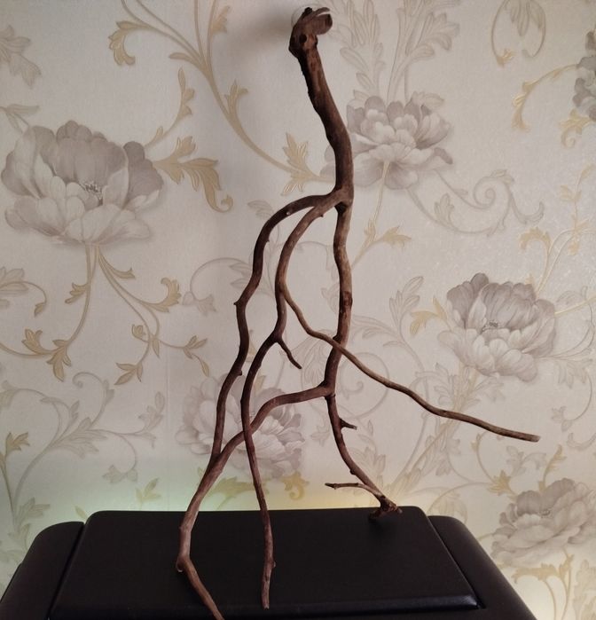 Коряги для аквариума.