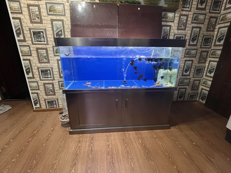 Akvaryum satiladi 3 mln ga berip jiberemen