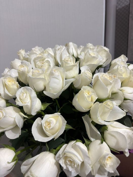 Белые розы. Ак розалар