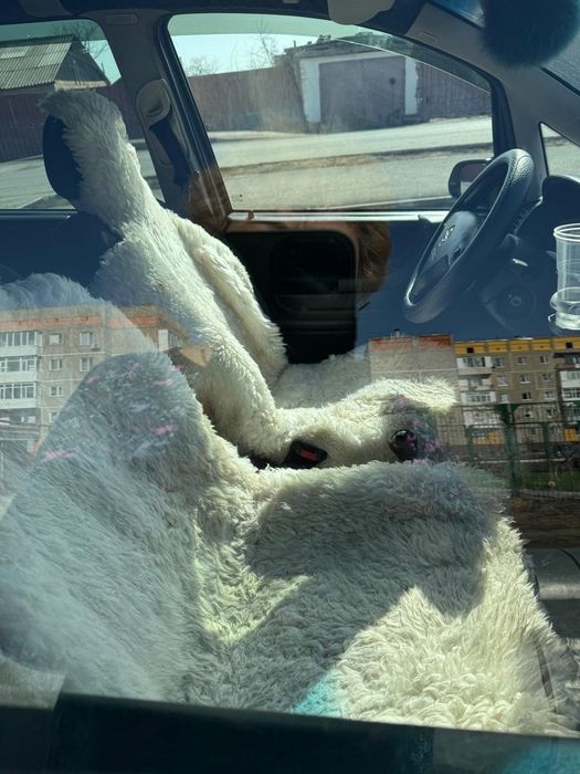 Opel авто на ходу