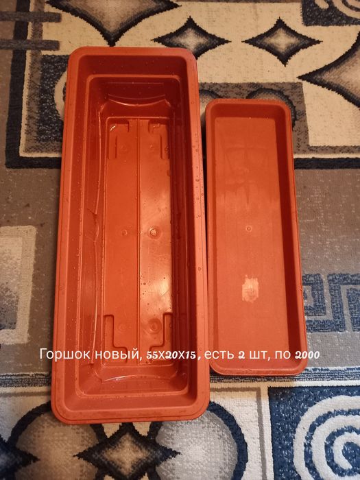 Горшки для цветов, растения