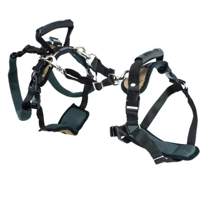 Ham de ridicare caine PetSafe, față și spate