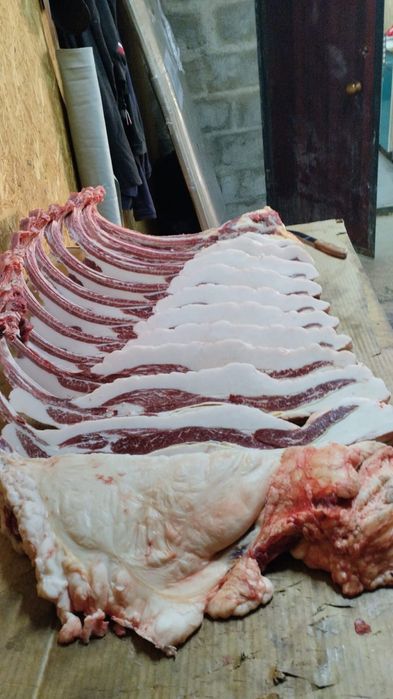 Продам мясо от конины
