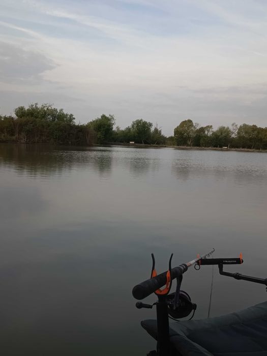 Lansetă Diamant Alb 3.90m 150g împreună cu mulineta Pro Fl 6000