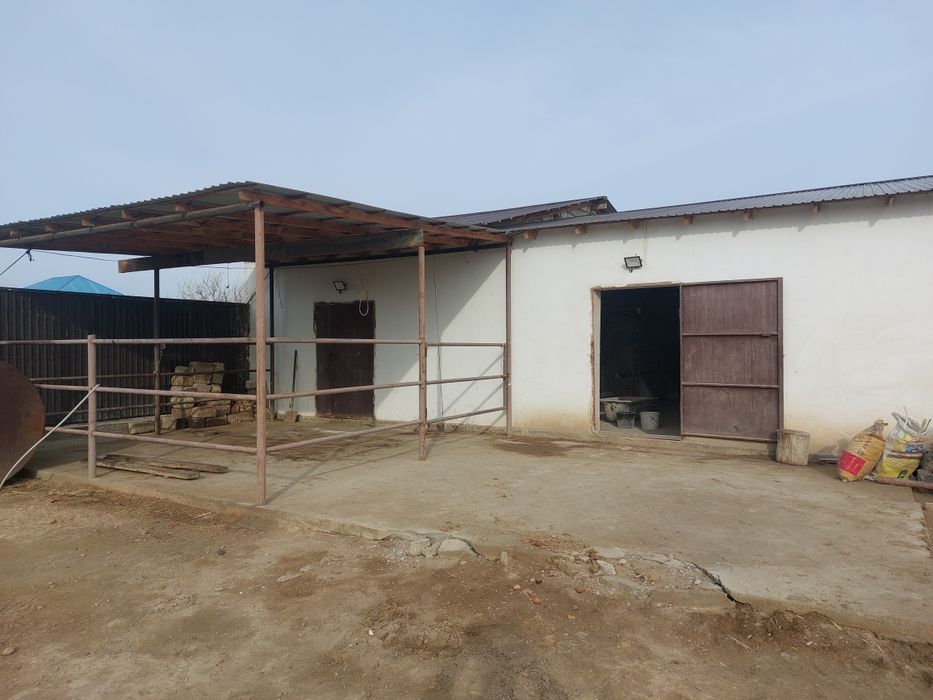 Фазенда (откорм) сатылады