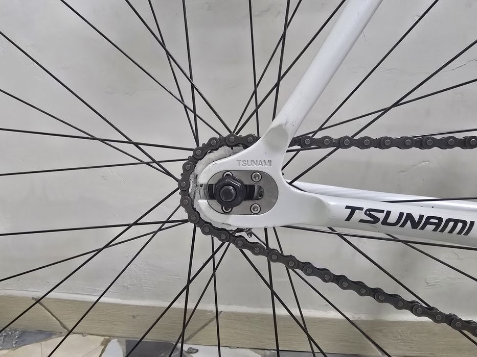 Tsunami snm 100.