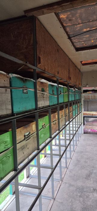 Vând camion apicol Mercedes Atego 1218- 104 stupi, complet echipată