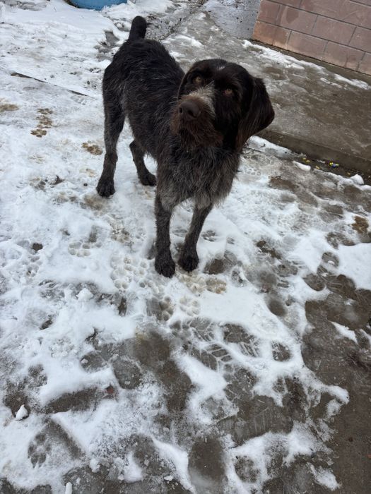 Продам драдхар кабель