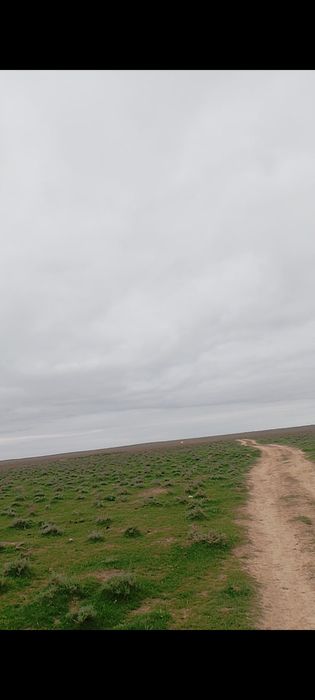 қора сатылады 280млн