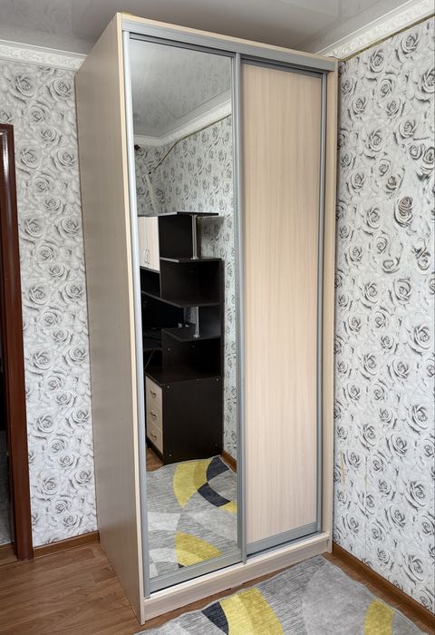 Шкаф купе с зеркалом