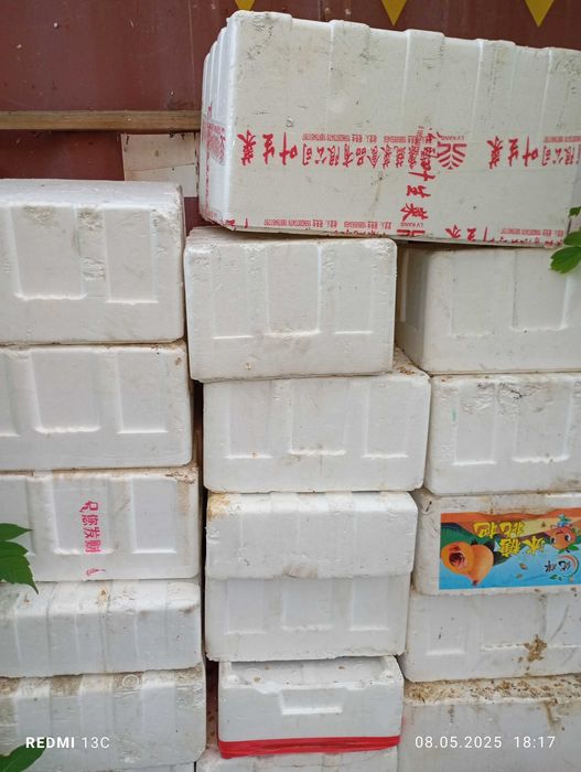 Ящики пласмасовые