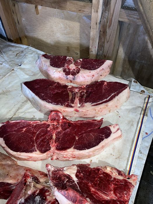 3 елі қазысымен донен сатамын! Байтал емес!