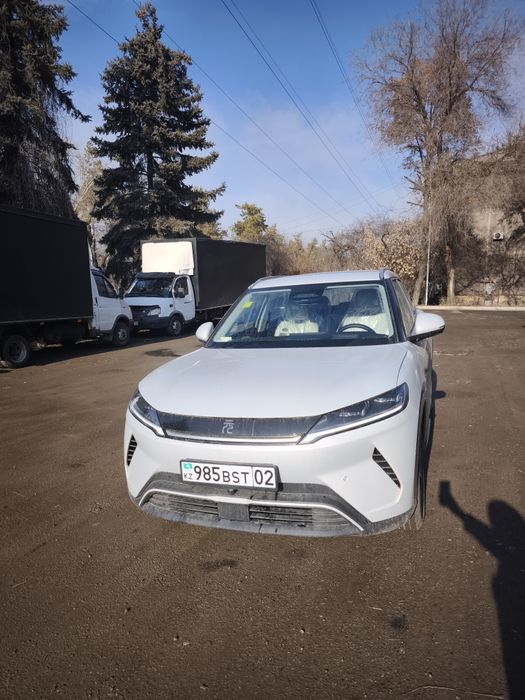 BYD Yan Up декабрь 2025