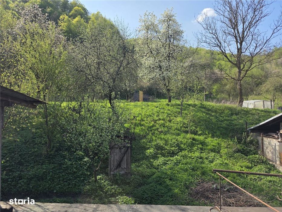 Casa cu teren generos in zona turistica Nadrag Timis