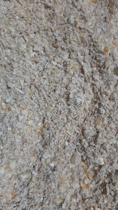 Комбикорм для телят, Старт. Откорм.