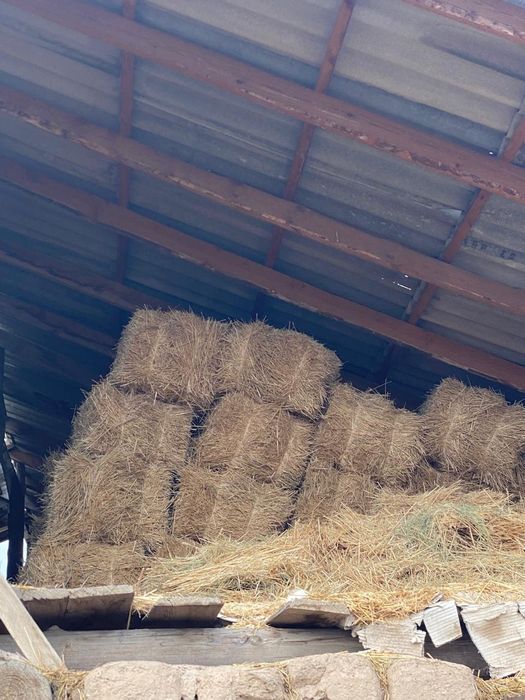 Сабан пресс (Солома)!