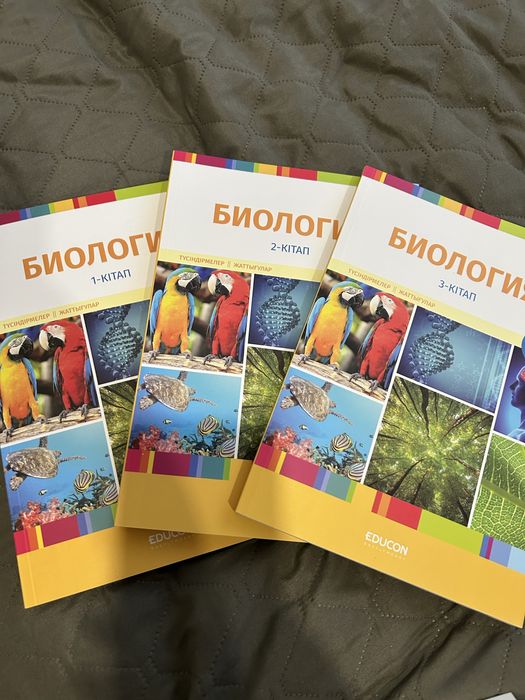 Жақсы сапада эротикалық бейнелер