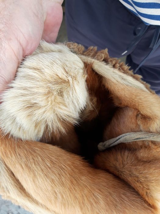 Оригинальные унты .