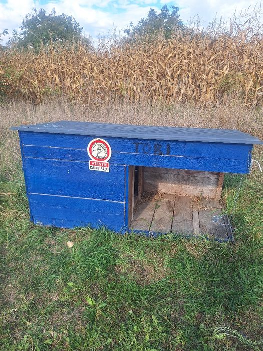 Cusca pentru caini