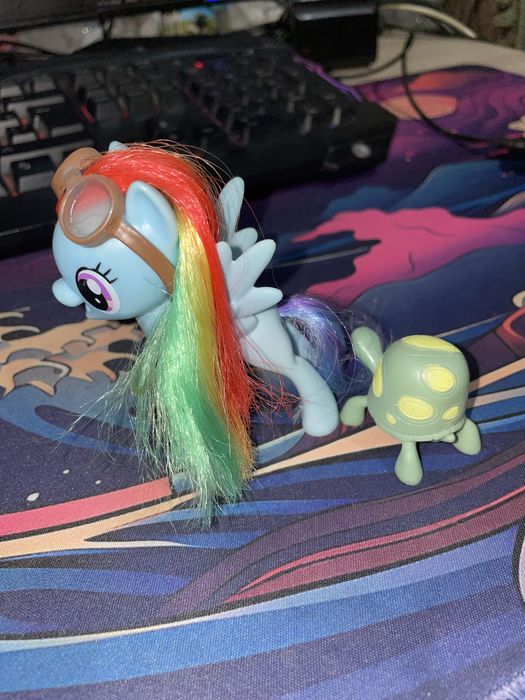 My little pony Радуга с питомцем