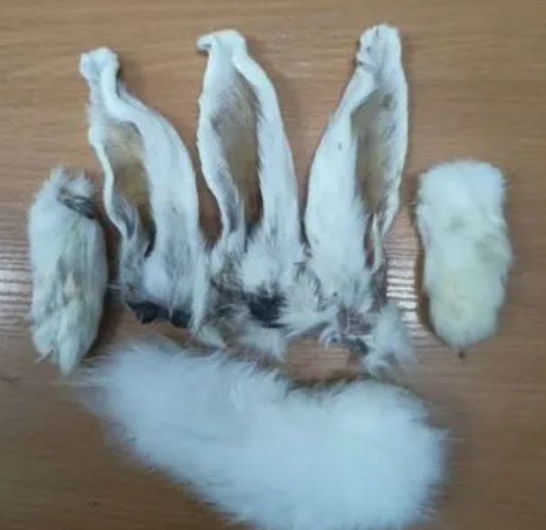 Сушеные вкусняшки для собак.