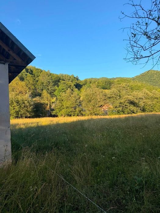 TEREN INTRAVILAN - Valea Vinului - Viseu de Sus - 25.8 ARI