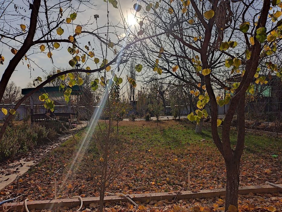 Дом в Кибрайскрм  рай-он 22 сотки