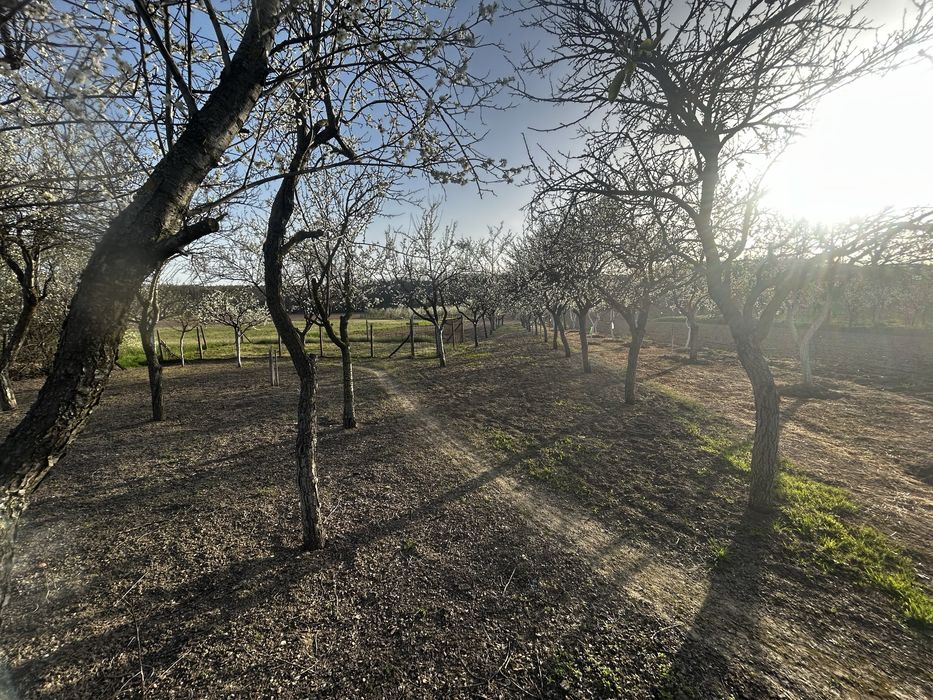 Proprietate 2 case (1noua cu mansarda)multiple anexe 2600 mp