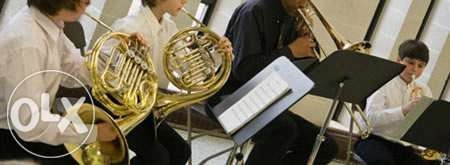 Învață să cânti la Pian, Vioară, Viola cu un profesor experimentat